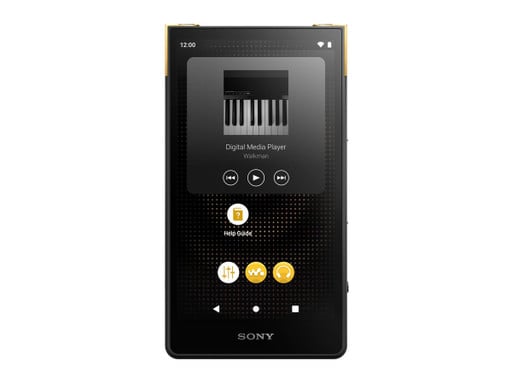 Sony Walkman NW-ZX707 Music Player