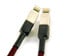 Silver Dragon Network Cable by Moon Audio