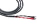 Black Dragon BiWire Speaker Cable